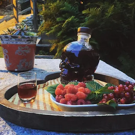 Lo Djoua De Toueno 3* Arvier