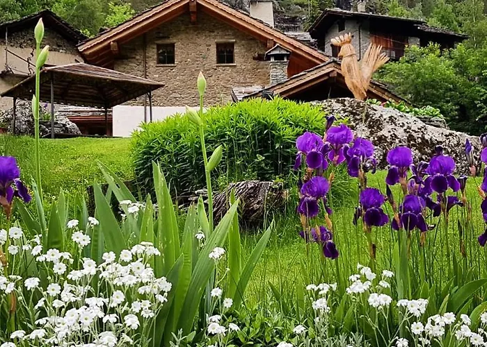 Lo Djoua De Toueno 3*