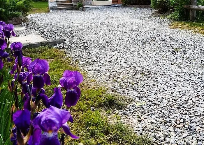 Lo Djoua De Toueno Bed & Breakfast Arvier