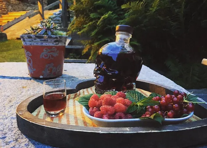 Lo Djoua De Toueno 3* Arvier